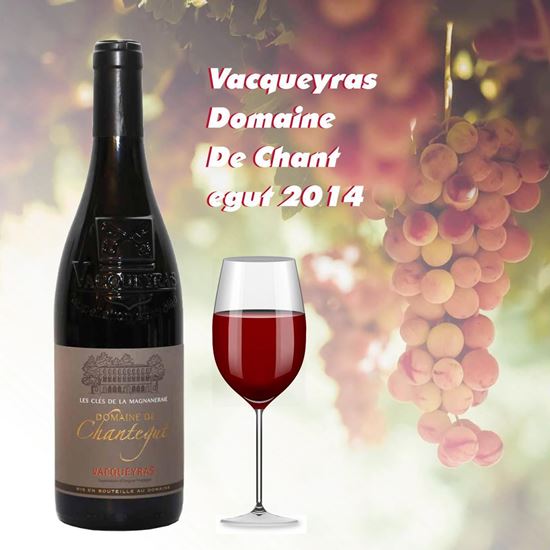 Hình ảnh của Rượu Vang Vacqueyras Domain De Chantegut