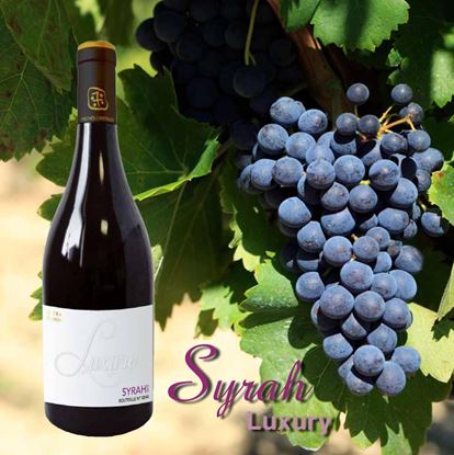 Hình ảnh của Rượu vang Pháp Vignobles Vellas Syrah